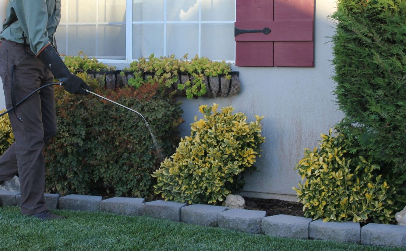 a man with a vacuum in front of a house
