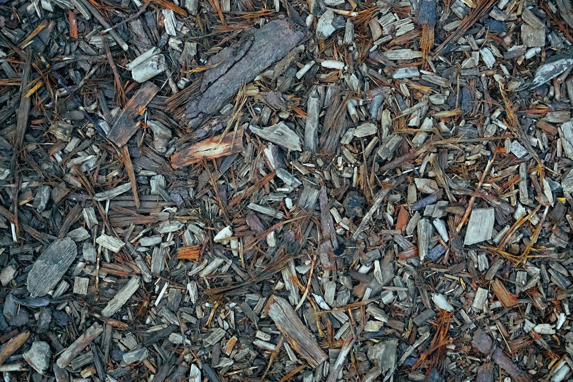 Close-up of wood chips on the ground with rich texture, natural mulch for gardens.